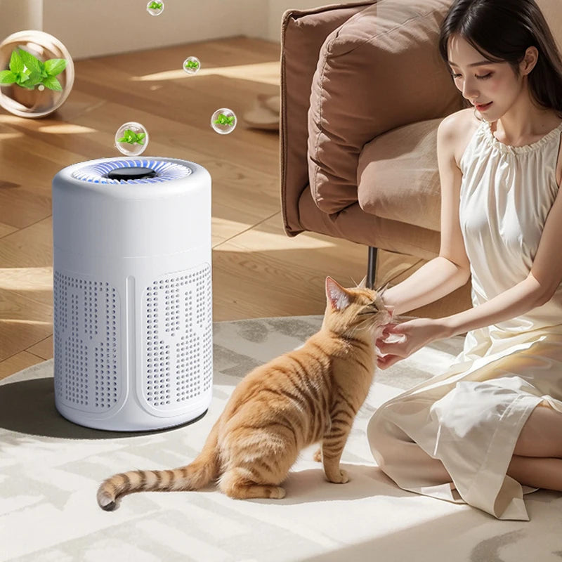 Mini Desktop Air Purifier with HEPA Filter & Negative Ion Technology